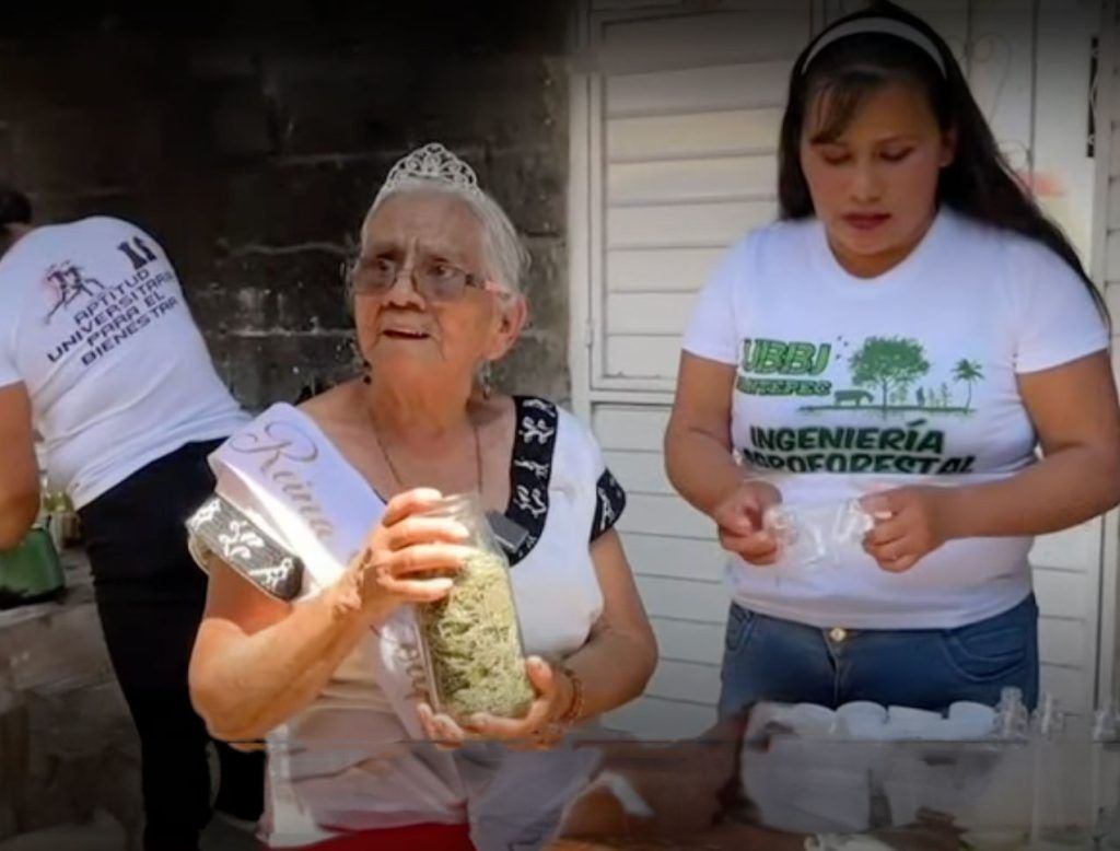 Una historia de resistencia: Mujer de 85 años elabora ungüentos con hierbas en Chiapas 1 Esta mujer imparte clases a jóvenes chiapanecas para perpetuar su legado