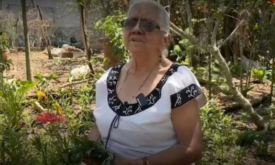 Una historia de resistencia: Mujer de 85 años elabora ungüentos con hierbas en Chiapas