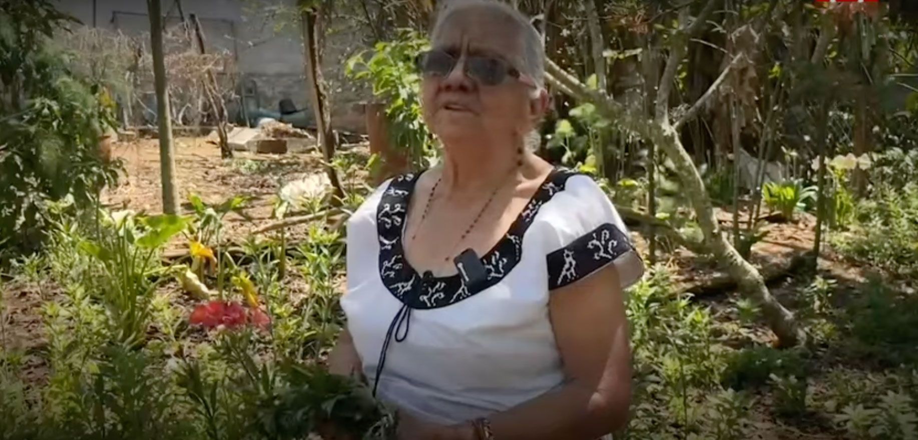 Una historia de resistencia: Mujer de 85 años elabora ungüentos con hierbas en Chiapas