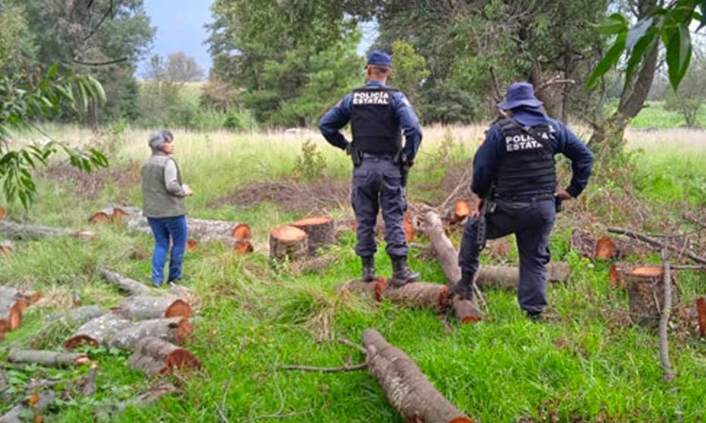 Cadáveres de dos mujeres calcinadas hallados en Cuernavaca