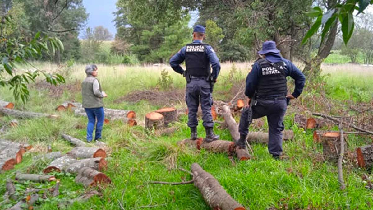 Cadáveres de dos mujeres calcinadas hallados en Cuernavaca
