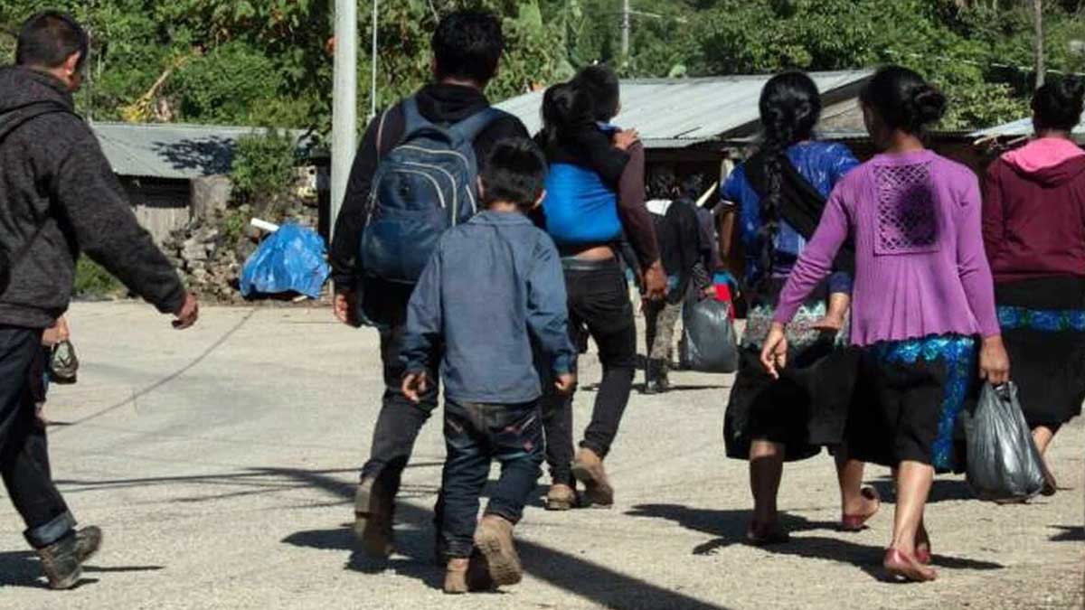 Crisis humanitaria en Chiapas: ciudadanos huyen a Guatemala por guerra de cárteles