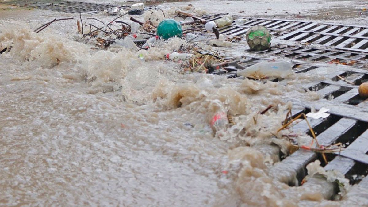 Aumenta el riesgo de inundaciones por la deforestación