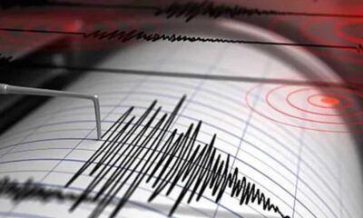 Sismo CDMX provoca alarma y pone a prueba sistema de respuesta en la capital