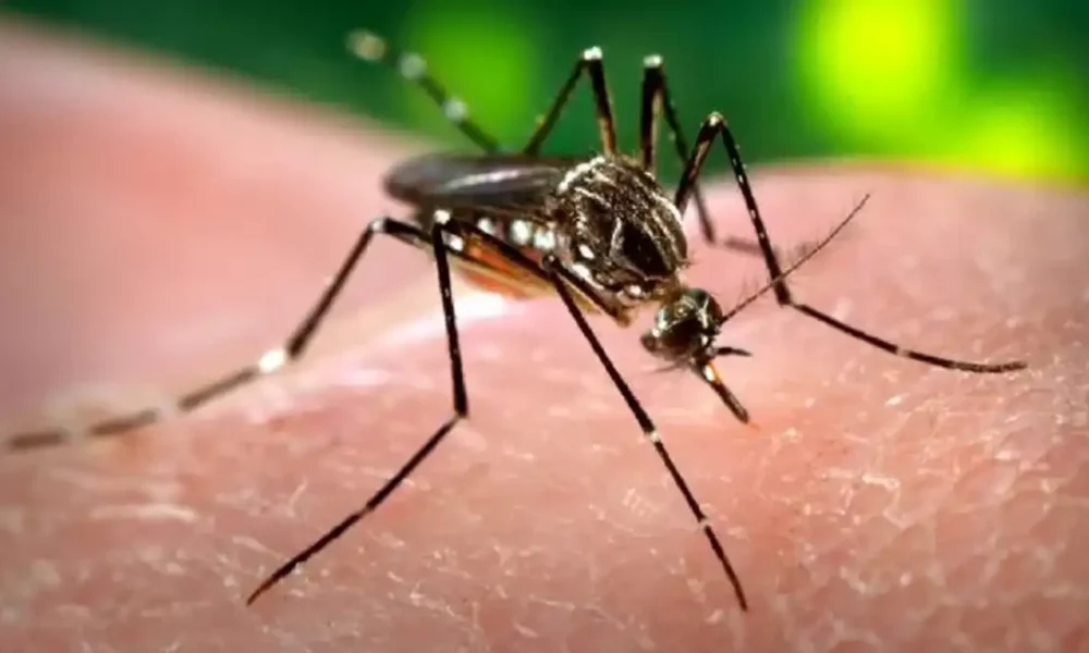 Alerta de la UNAM: El dengue se extiende a casi todo México