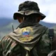 Enfrentamientos con las FARC por minería ilegal dejan 12 muertos en Valle del Cauca