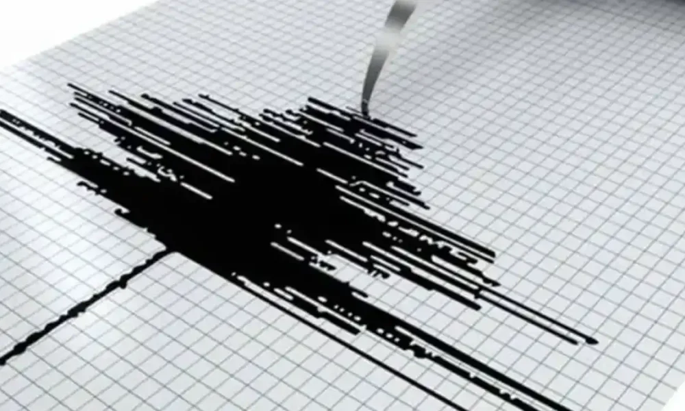 ¿Sabe como comportarse durante el simulacro de sismo?