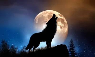 ¡No te pierdas hoy la Luna del Cazador en todo su esplendor!
