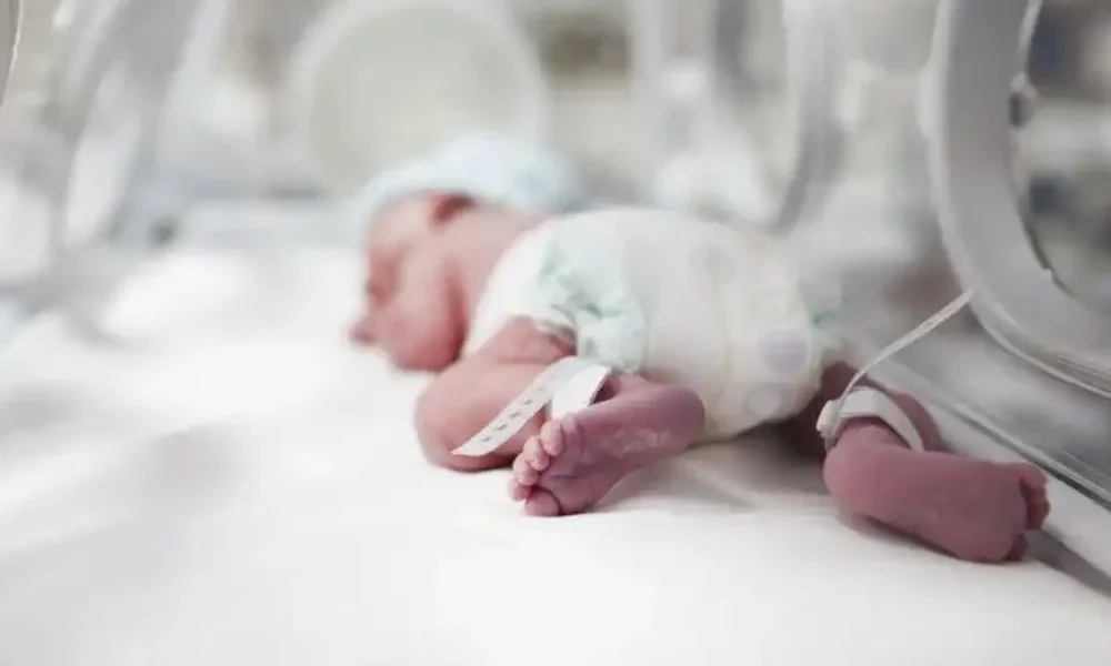 UNACH aprueba la creación de la Especialidad en Neonatología