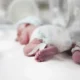 UNACH aprueba la creación de la Especialidad en Neonatología
