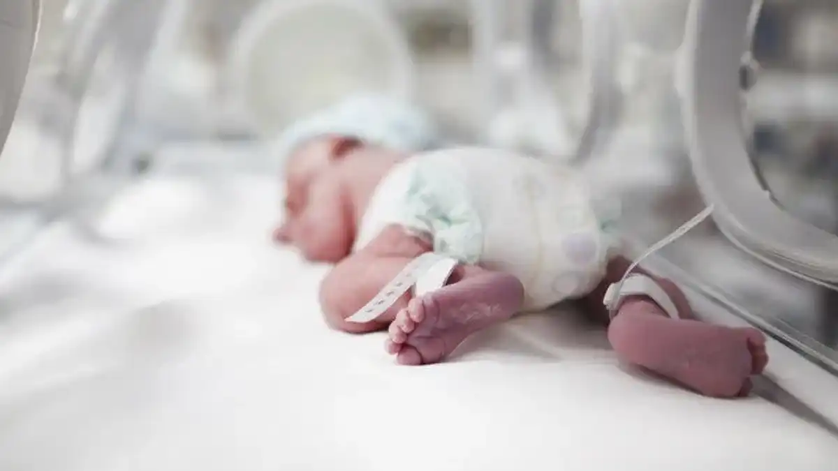 UNACH aprueba la creación de la Especialidad en Neonatología