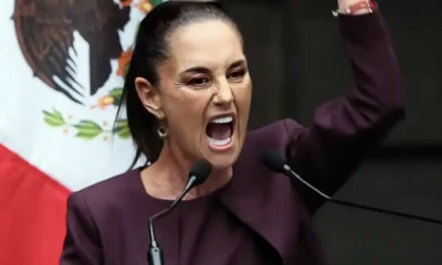 Sheimbaum se irrita y usa tribunales para tratar de callar al abogado de Ovidio Guzmán