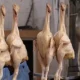 Carne y Pollo por las Nubes en México en 2025