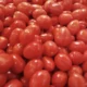 Arancel al tomate mexicano afectará miles de empleos en Baja California