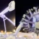Accidente atracción Arabia Saudita deja 23 heridos en parque Green Mountain
