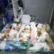 Bombardeo a clínica en Gaza mata bebés y civiles