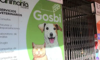 Madrid permite cirugías veterinarias a una clínica sin permisos e historial de maltrato animal