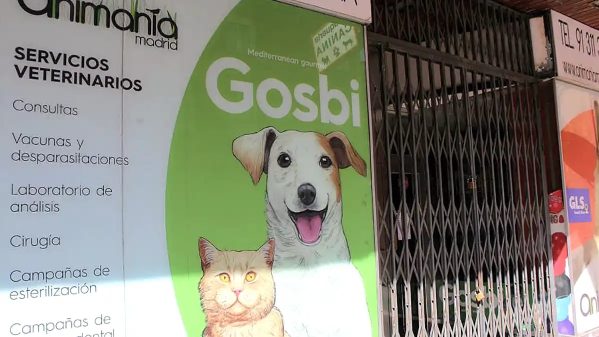 Madrid permite cirugías veterinarias a una clínica sin permisos e historial de maltrato animal