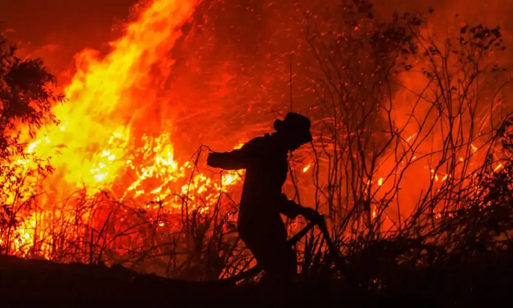 Incendios forestales en Indonesia disparan las emisiones globales de carbono