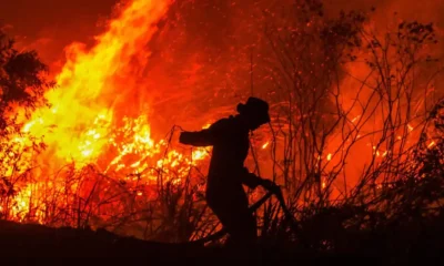 Incendios forestales en Indonesia disparan las emisiones globales de carbono