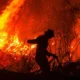 Incendios forestales en Indonesia disparan las emisiones globales de carbono