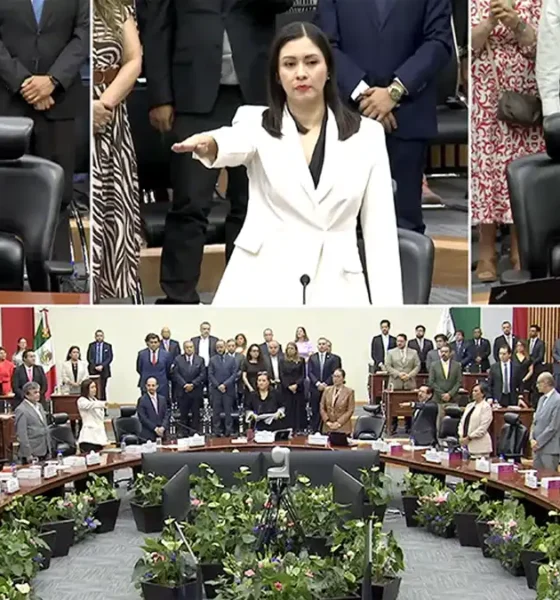 El INE designa 15 consejerías electorales en organismos locales