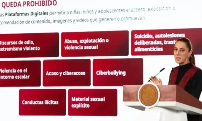 Decreto para plataformas digitales obliga a retirar contenido dañino para menores